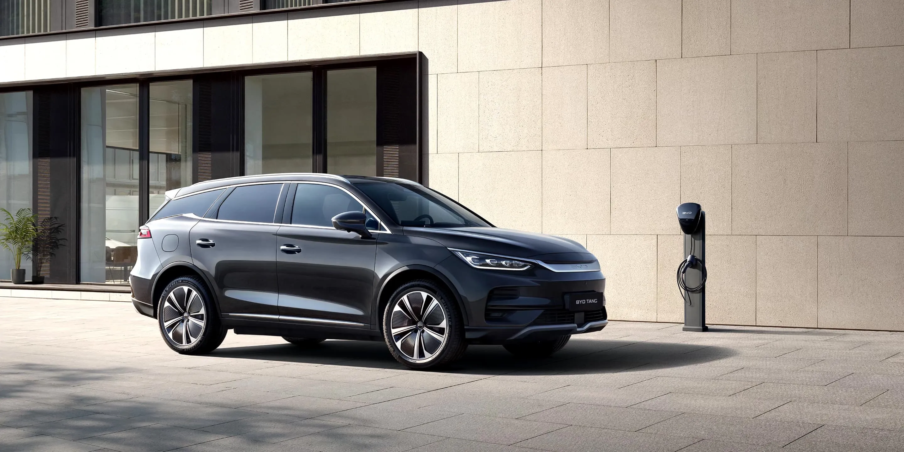 France AJ Holding Byd Tang OverView