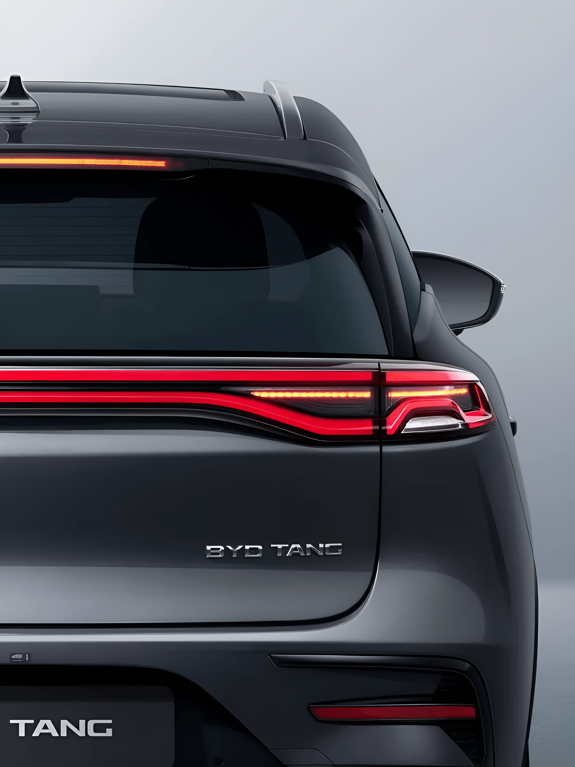 France AJ Holding Byd Tang OverView